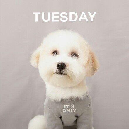 a week