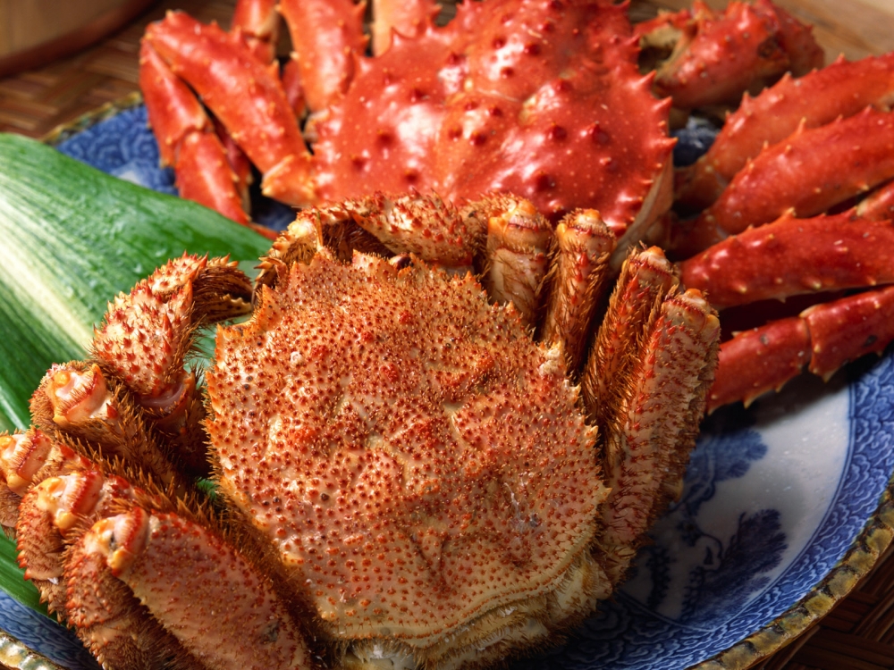 海鲜美食 第四辑