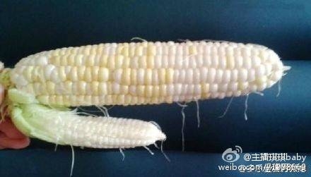 这是一只邪恶的玉米