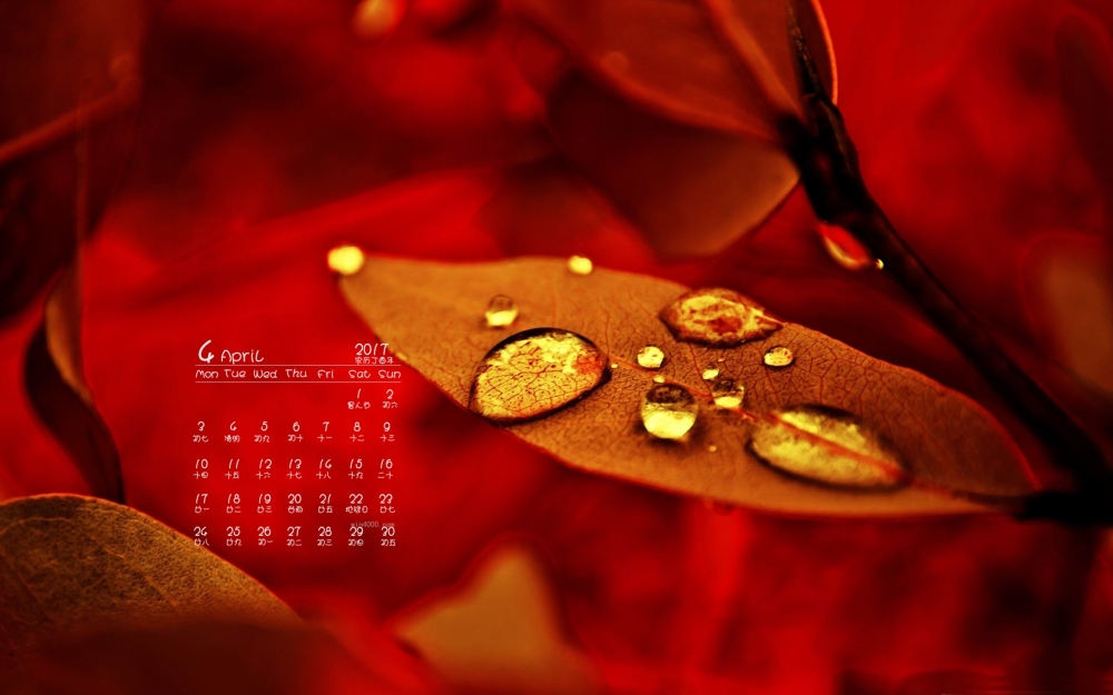 2017年4月镜头下的唯美自然风景高清日历壁纸