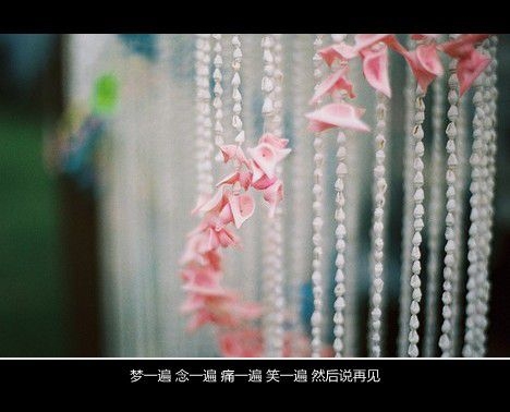 每一个人都无可替代 因为我们是世上的唯一存在 文字美