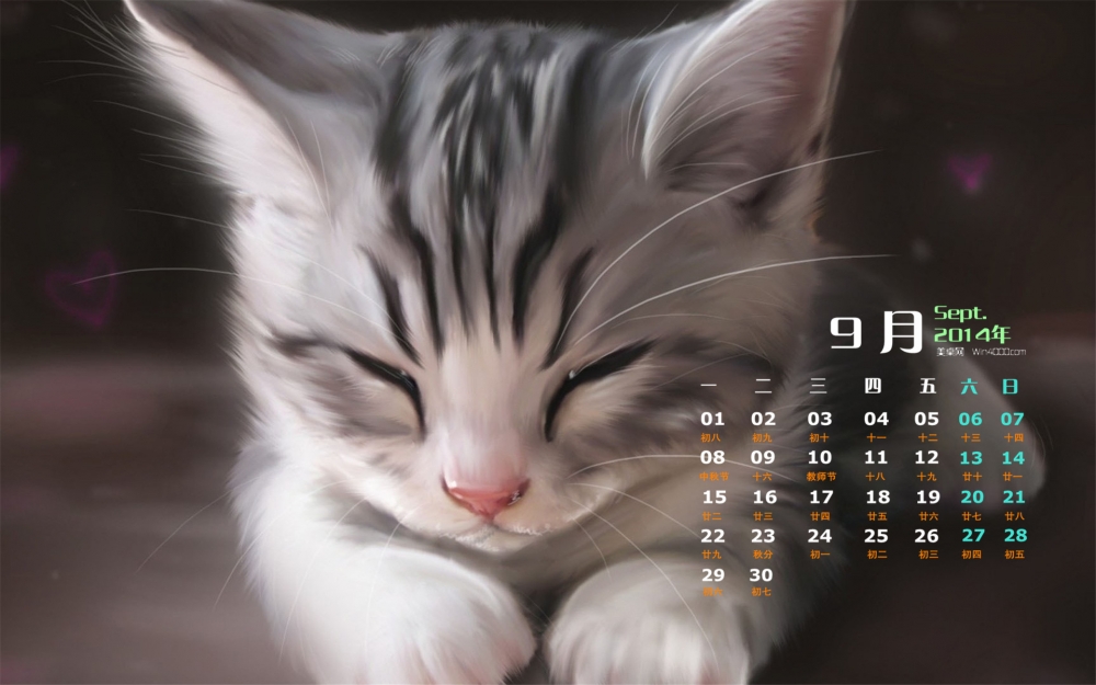 2014年9月日历桌面壁纸可爱的超萌宠物小猫图片