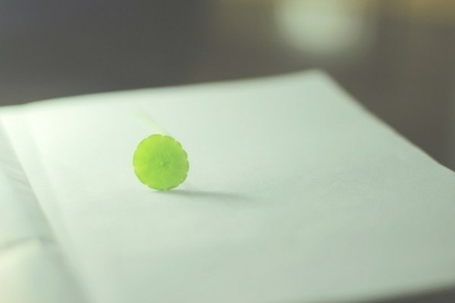 是我勇敢太久   清新唯美图片