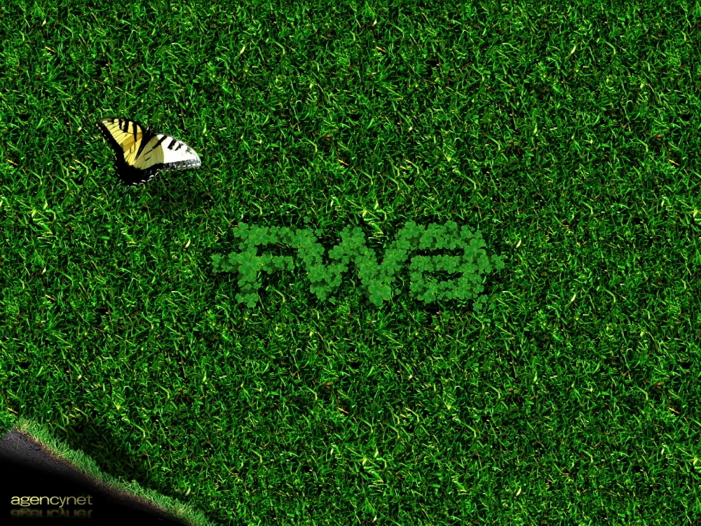 FWA 第一辑