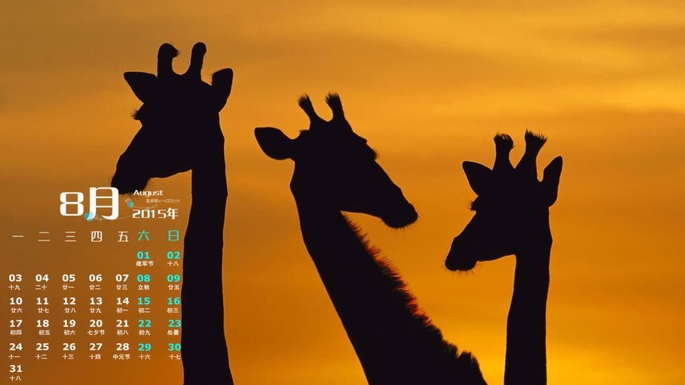 2015年8月日历精选夕阳下相亲相爱的动物桌面壁纸下载
