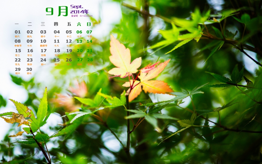 2014年9月日历初秋枫叶清新护眼高清电脑桌面主题壁纸