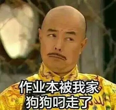 丸子：本公举也有一百个理由不写作业呢