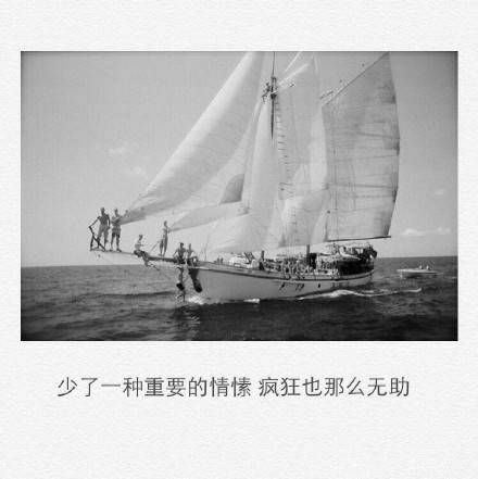 我喜欢你的名字和你笑的样子.