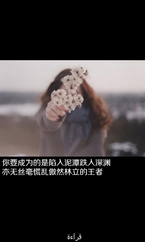 我的伤、你不懂