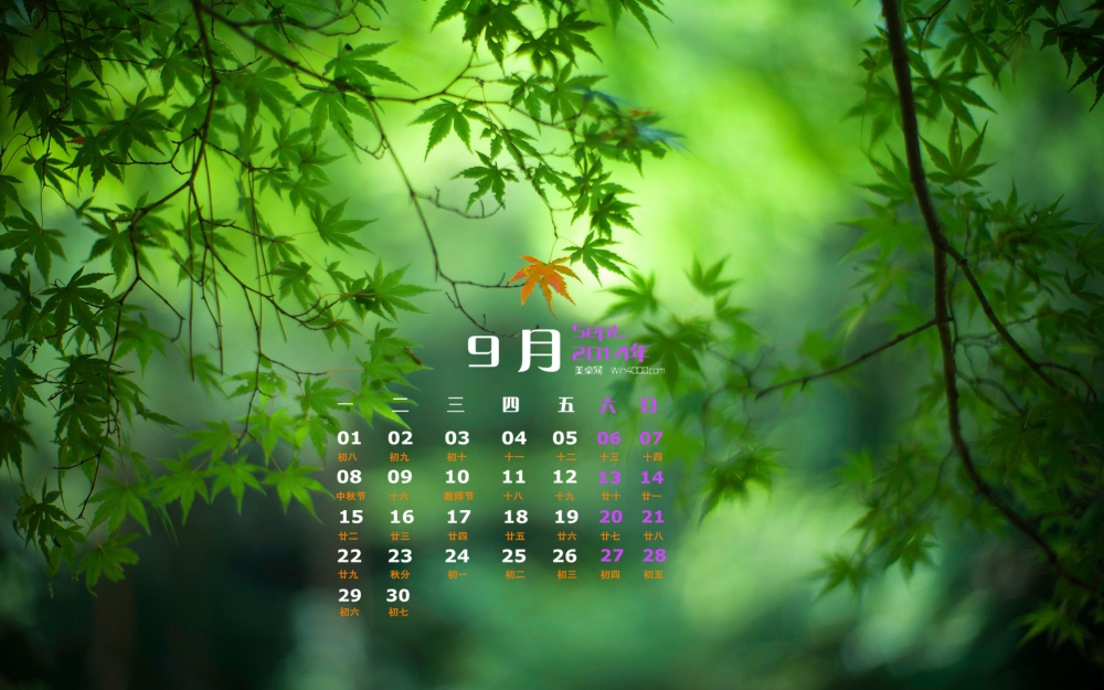 2014年9月日历初秋枫叶清新护眼高清电脑桌面主题壁纸