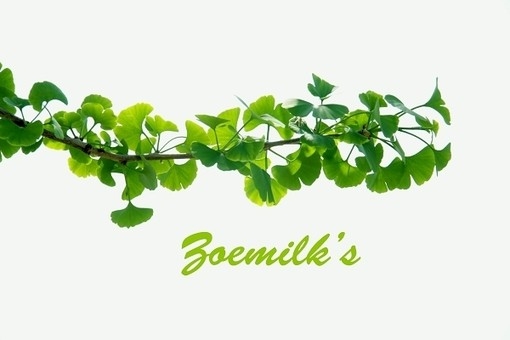 秋天里的银杏树图片