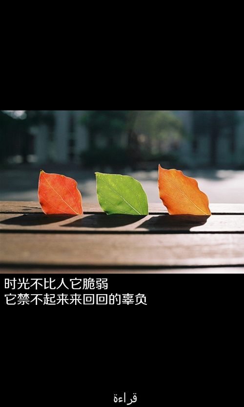 我的伤、你不懂