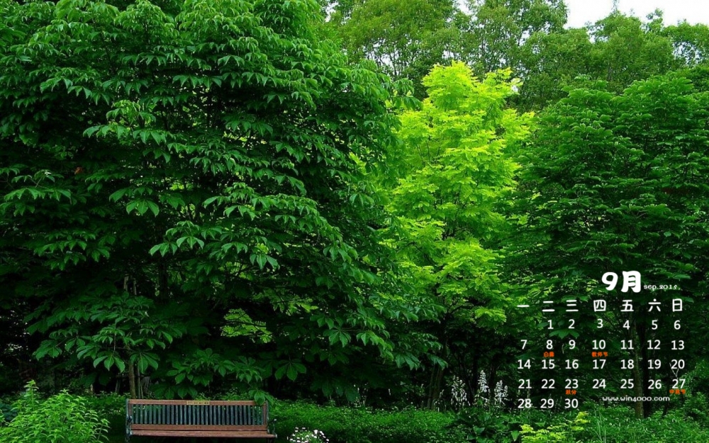 2015年9月日历公园葱郁绿叶电脑风景壁纸下载