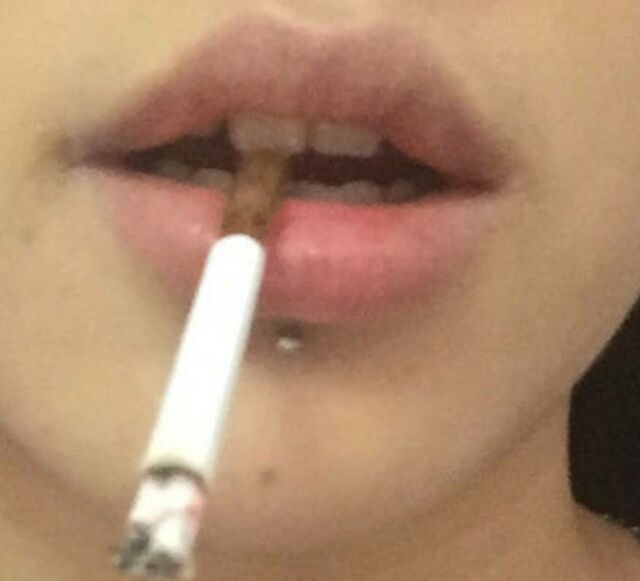 另類收藏者.