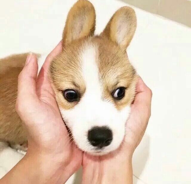 我喜欢的你们随意