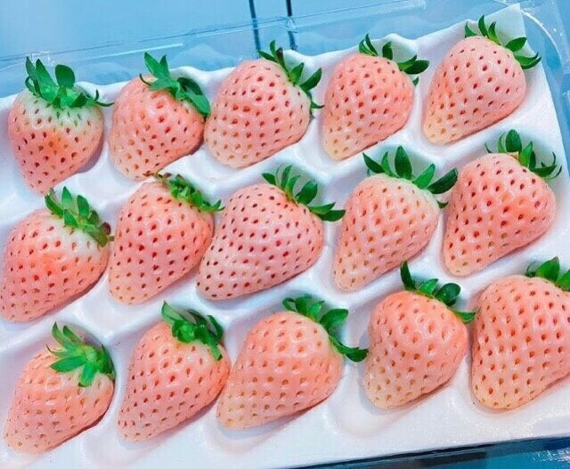 拥有草莓届最高颜值の草莓