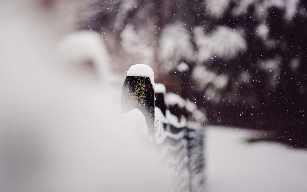 搜狗风光雪花飘飘