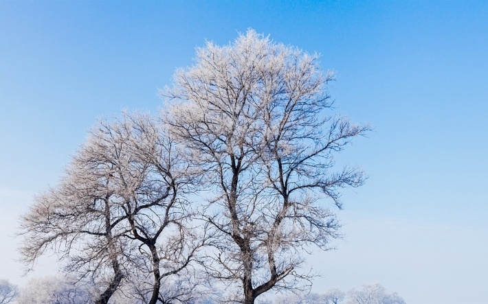 美丽的松花江畔风景win7桌面壁纸