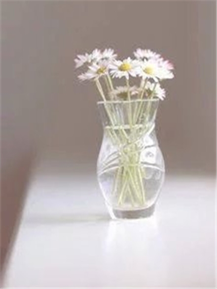 小清新图片：问花花不语