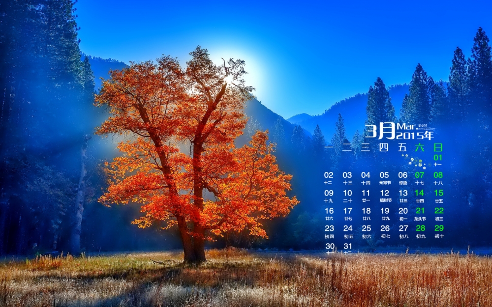 2015年3月日历壁纸精选清新大自然唯美森林景色素材高清图片下载