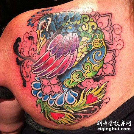 肩部彩色孔雀纹身图案