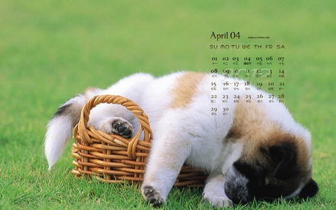 2012年4月桌面壁纸