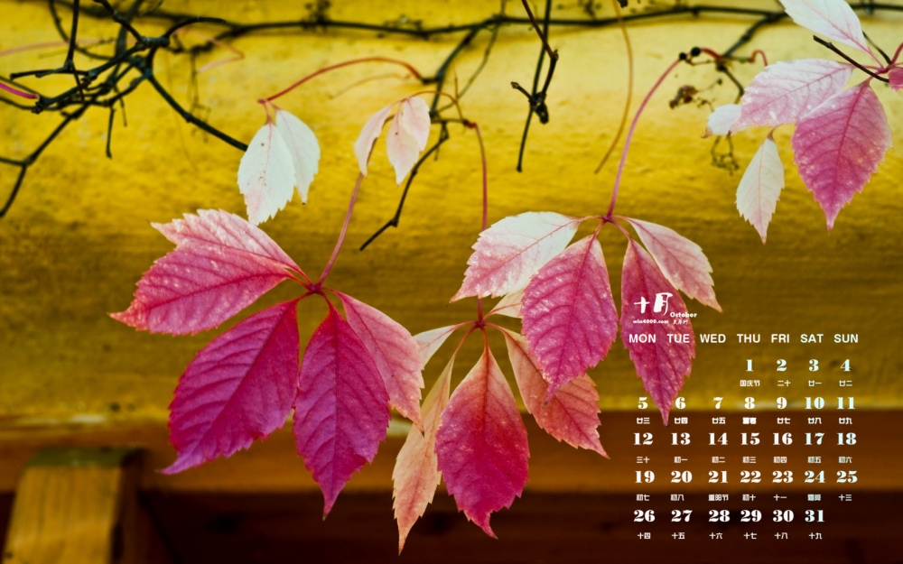 2015年10月日历唯美秋天景致秋叶风景电脑桌面壁纸下载1