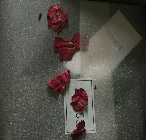 不完美   但很自由
