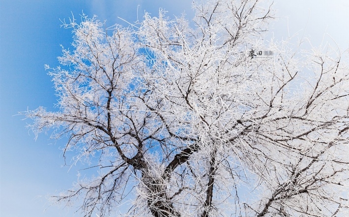 美丽的松花江畔风景win7桌面壁纸