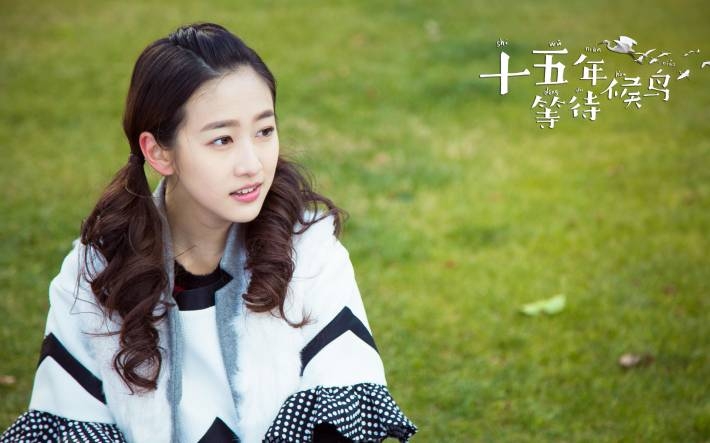十五年等待候鸟电视剧剧照桌面壁纸
