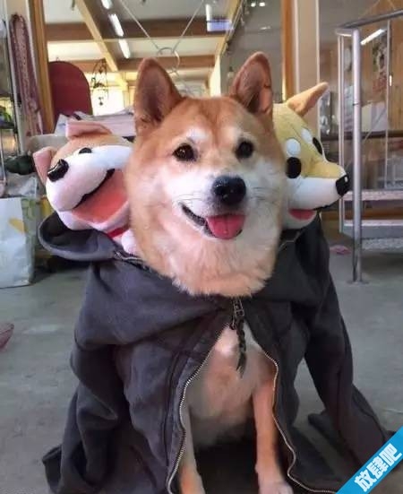 我是地狱三头犬，萌化版