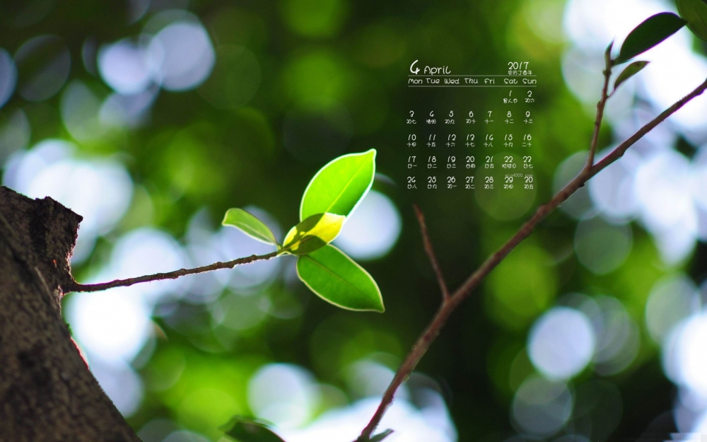 2017年4月镜头下的唯美自然风景高清日历壁纸