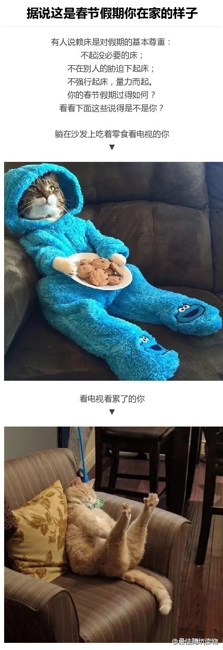 据说这是春节假期你在家的样子 ​​​​
