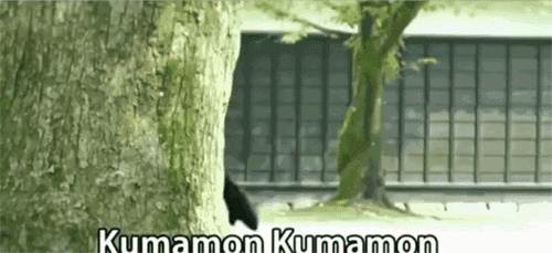 熊本熊，想不到你是这样的熊