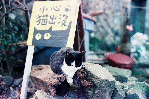 日本街景 唯美图片