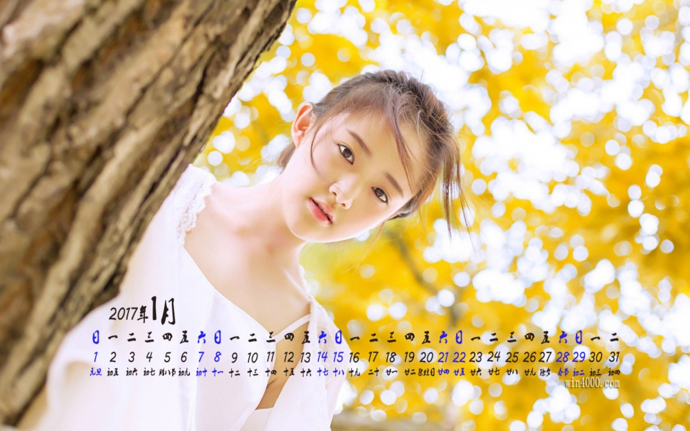 2017年1月小清新美女唯美意境高清桌面日历壁纸