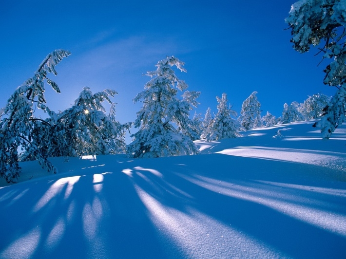 冬季唯美雪景高清壁纸大全