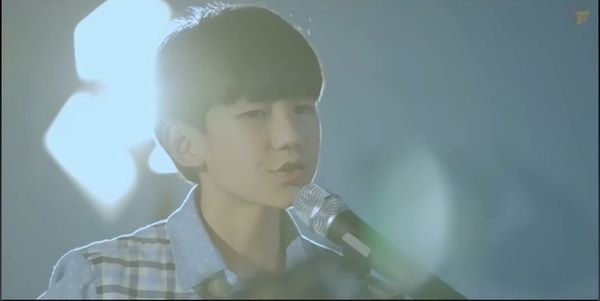 【TF家族】洋葱。