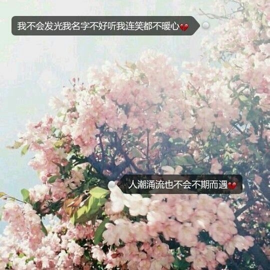 不要轻易触碰别人的过去，哪怕他爱你深入到骨