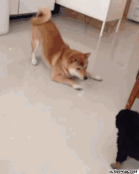 一言不合就自转