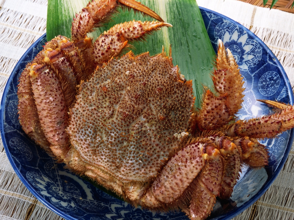 海鲜美食 第四辑