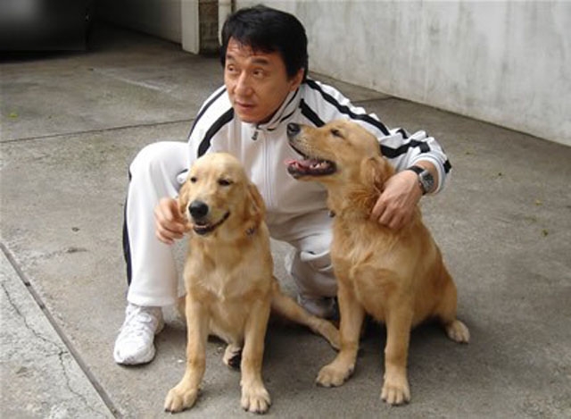 成龙与两条爱犬的日常生活照