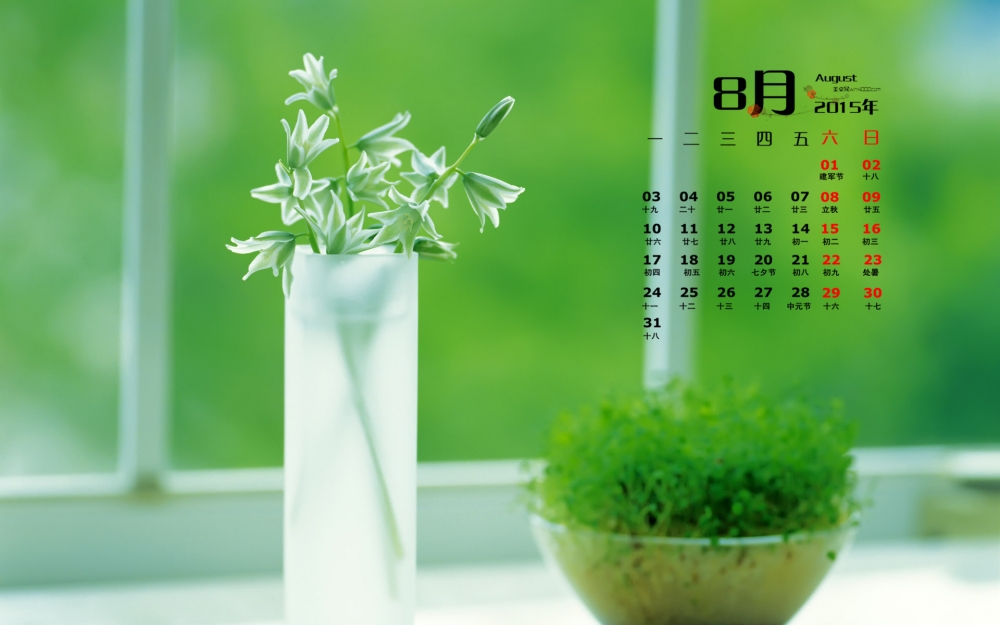 2015年8月日历壁纸精选绿色小清新盆栽高清图片