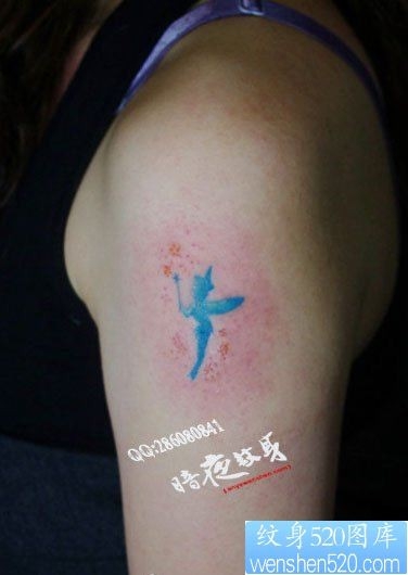 女人手臂彩色小精灵纹身图片