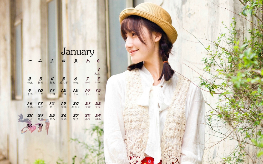 2017年1月小清新美女唯美意境高清桌面日历壁纸