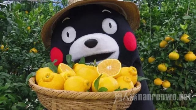 熊本熊，想不到你是这样的熊