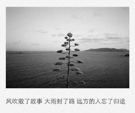 我喜欢你的名字和你笑的样子.