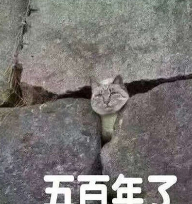 五百年了，师傅你咋还不来.