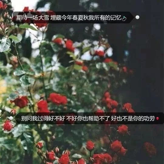 人潮涌流也不会不期而遇