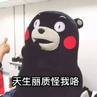 着迷熊本熊.